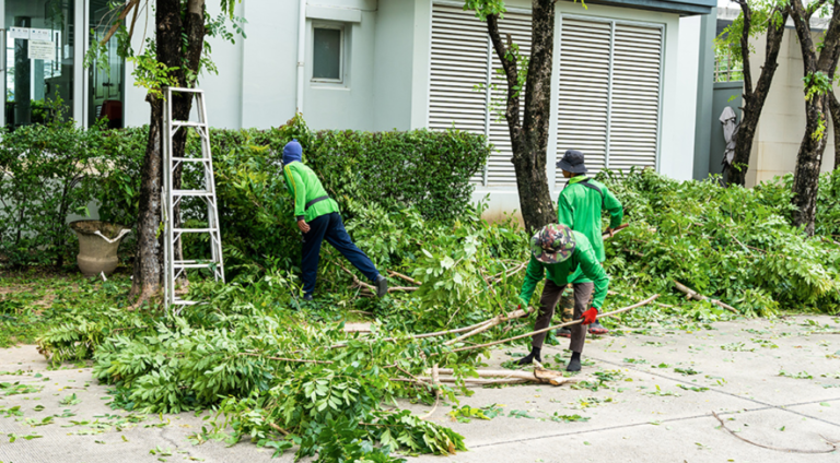 How Homeowners Handle Waste During Backyard Improvement Projects