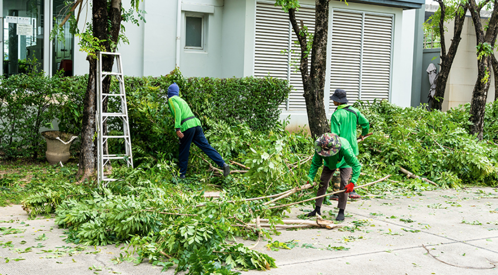 How Homeowners Handle Waste During Backyard Improvement Projects